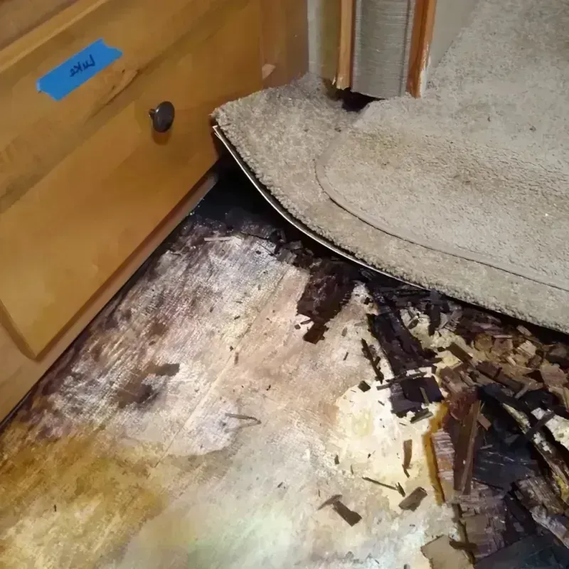 Wood Floor Water Damage in Wayne, PA